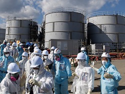 Владельцы "Фукусимы" призвали изгнать покемонов с территории АЭС