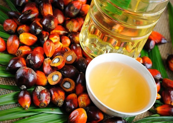 Пальмовое масло не является отравой, которой нас пичкают производители