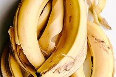 Дачников призвали закапывать в землю кожуру от бананов